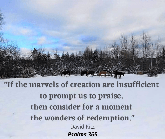 If the marvels of creation are insufficient 365