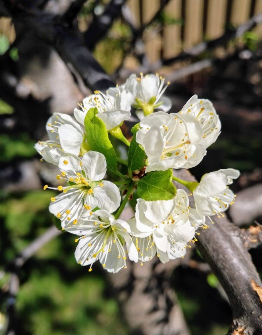 img_20200523_1604299