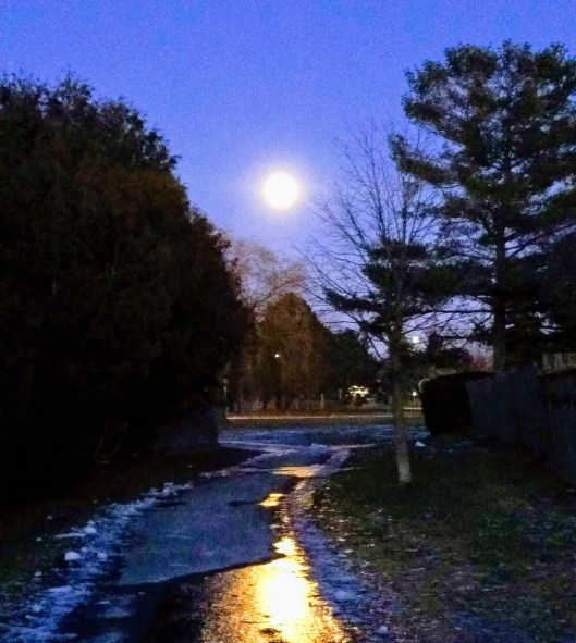 img_20201229_1701182