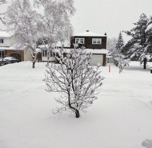 img_20210116_1048251