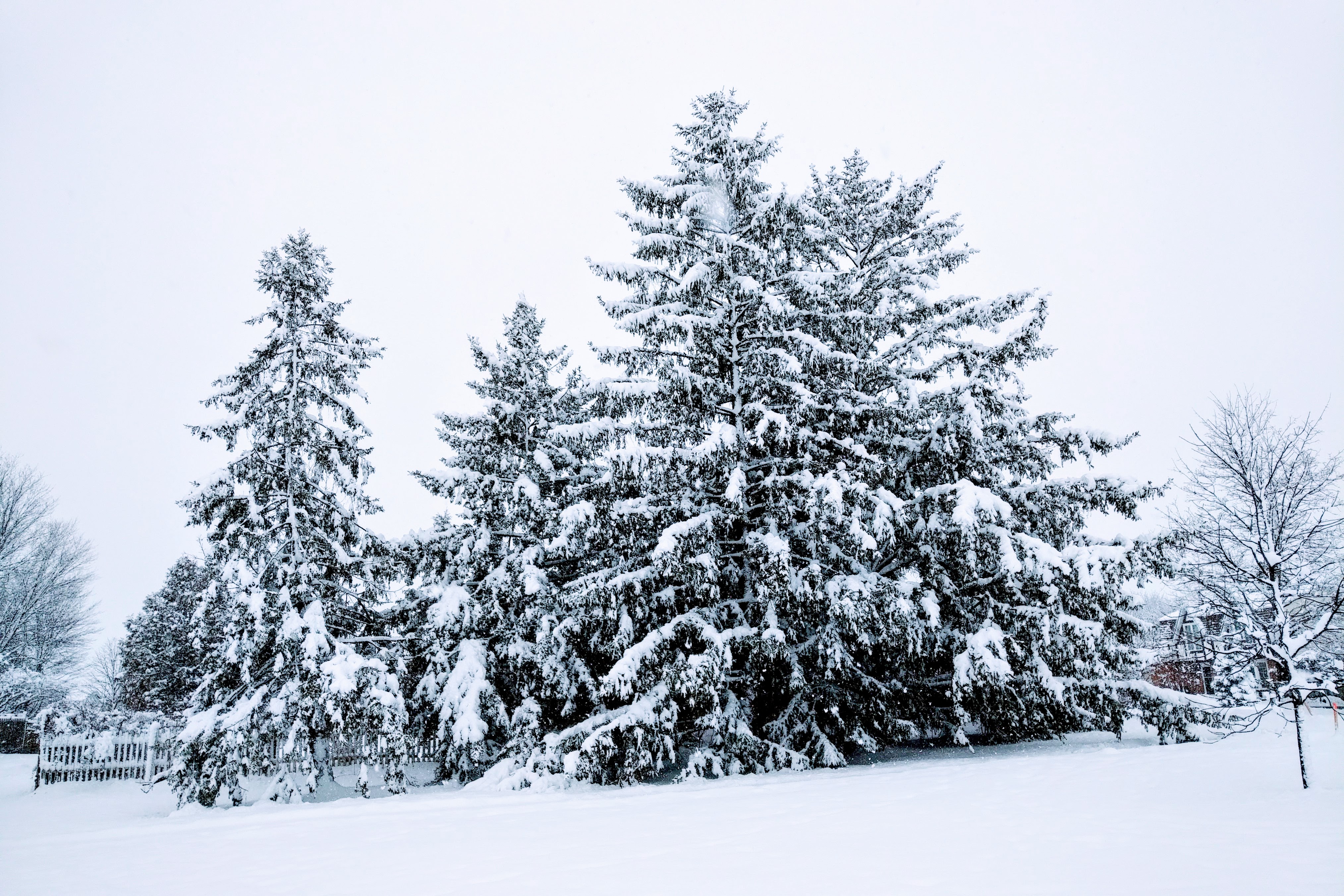 img_20210116_1114134-1