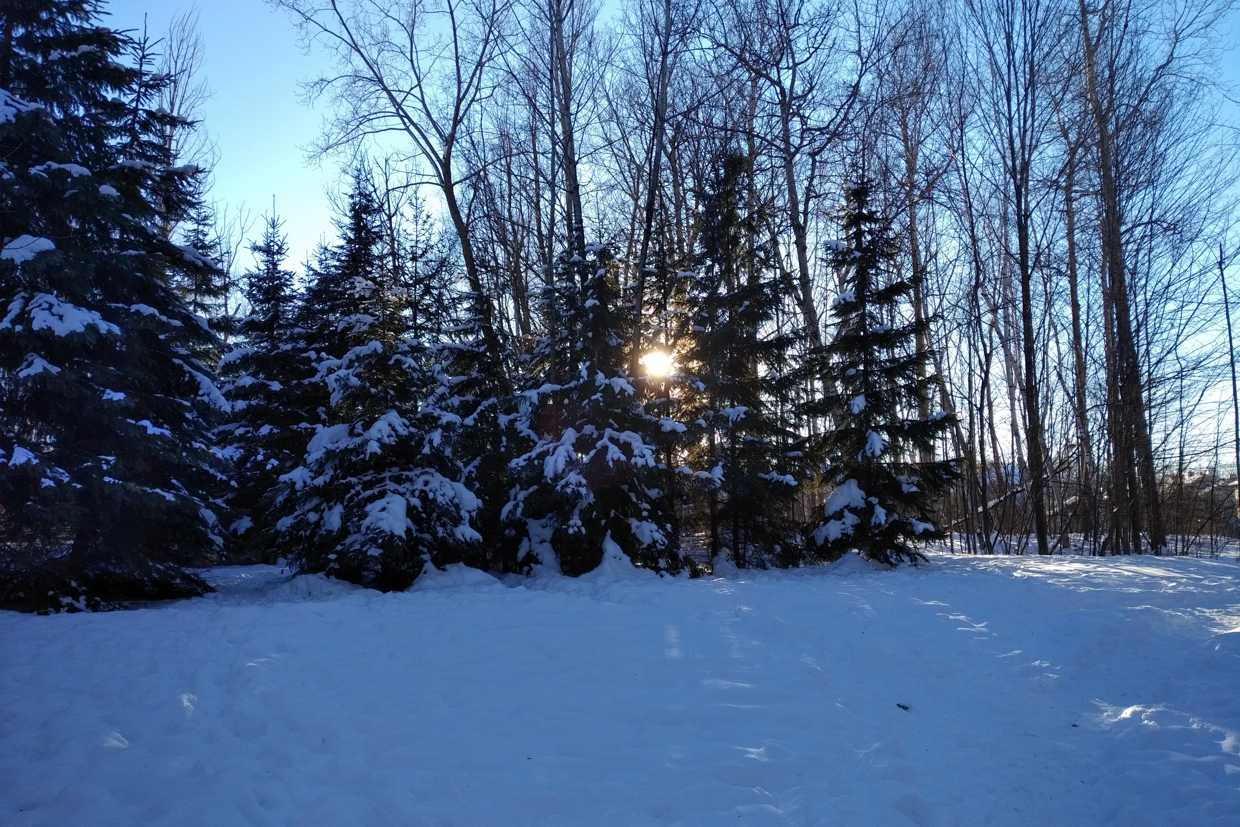 img_20210124_1536066