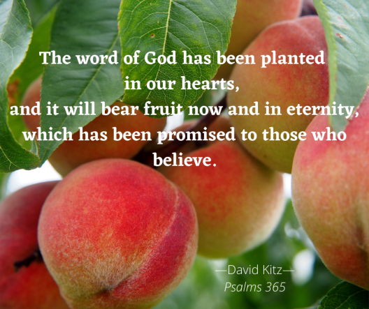 bear fruit now and in eternity 365 Psalm 104