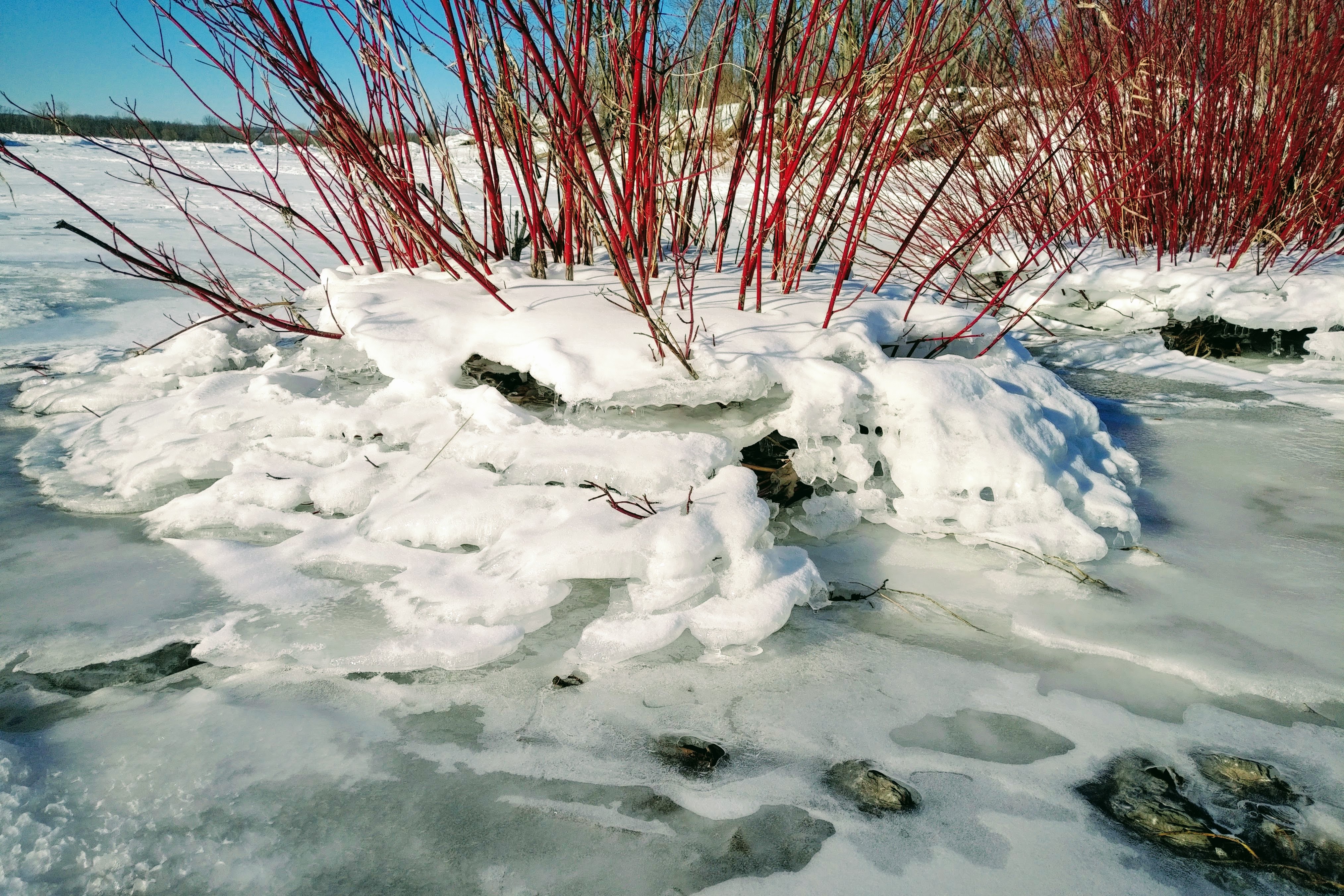 img_20210204_1457314