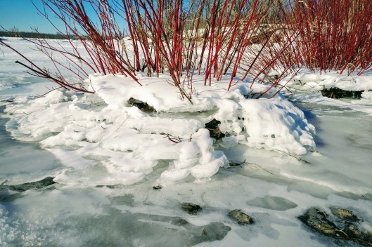 img_20210204_1457314