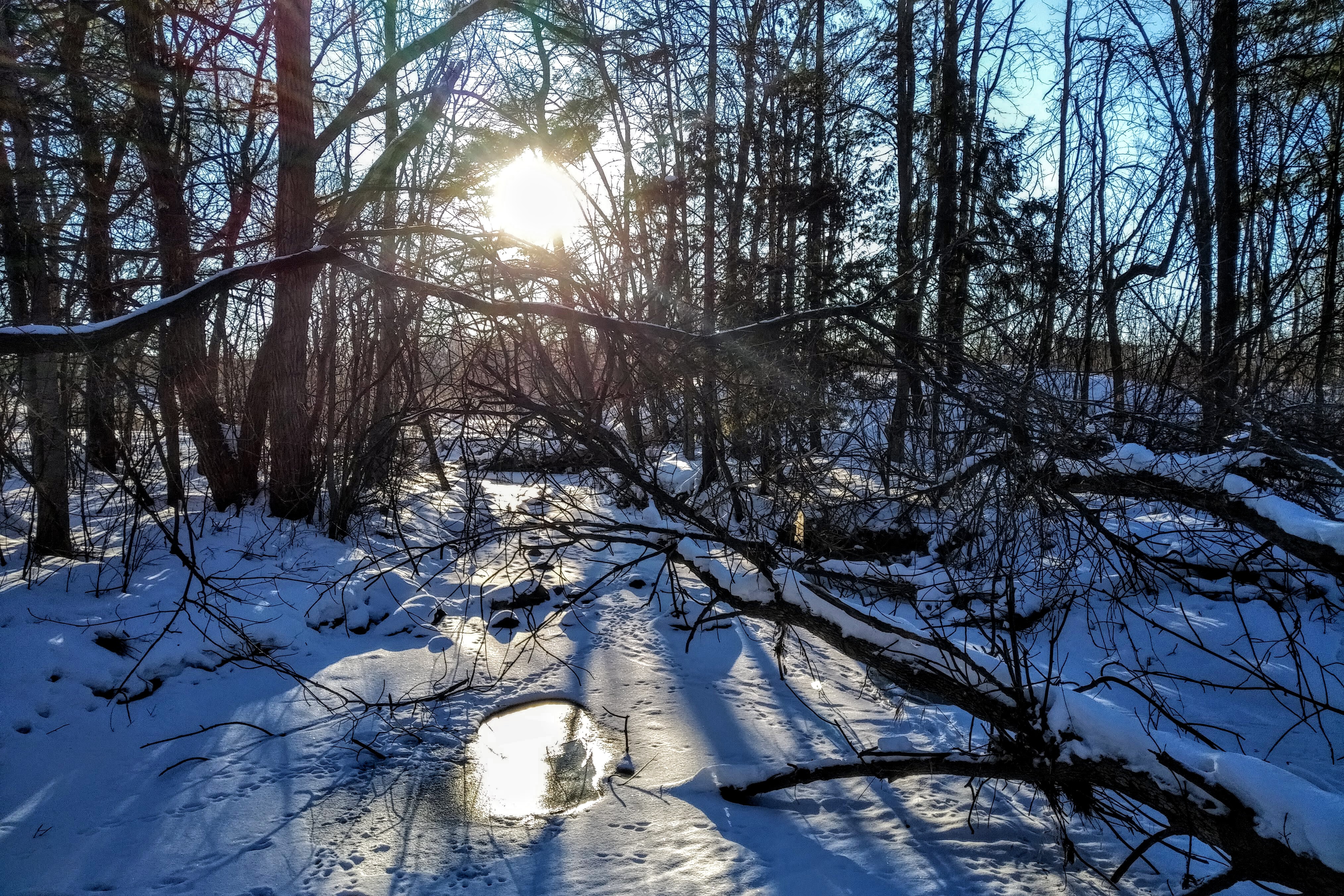 img_20210211_0831331