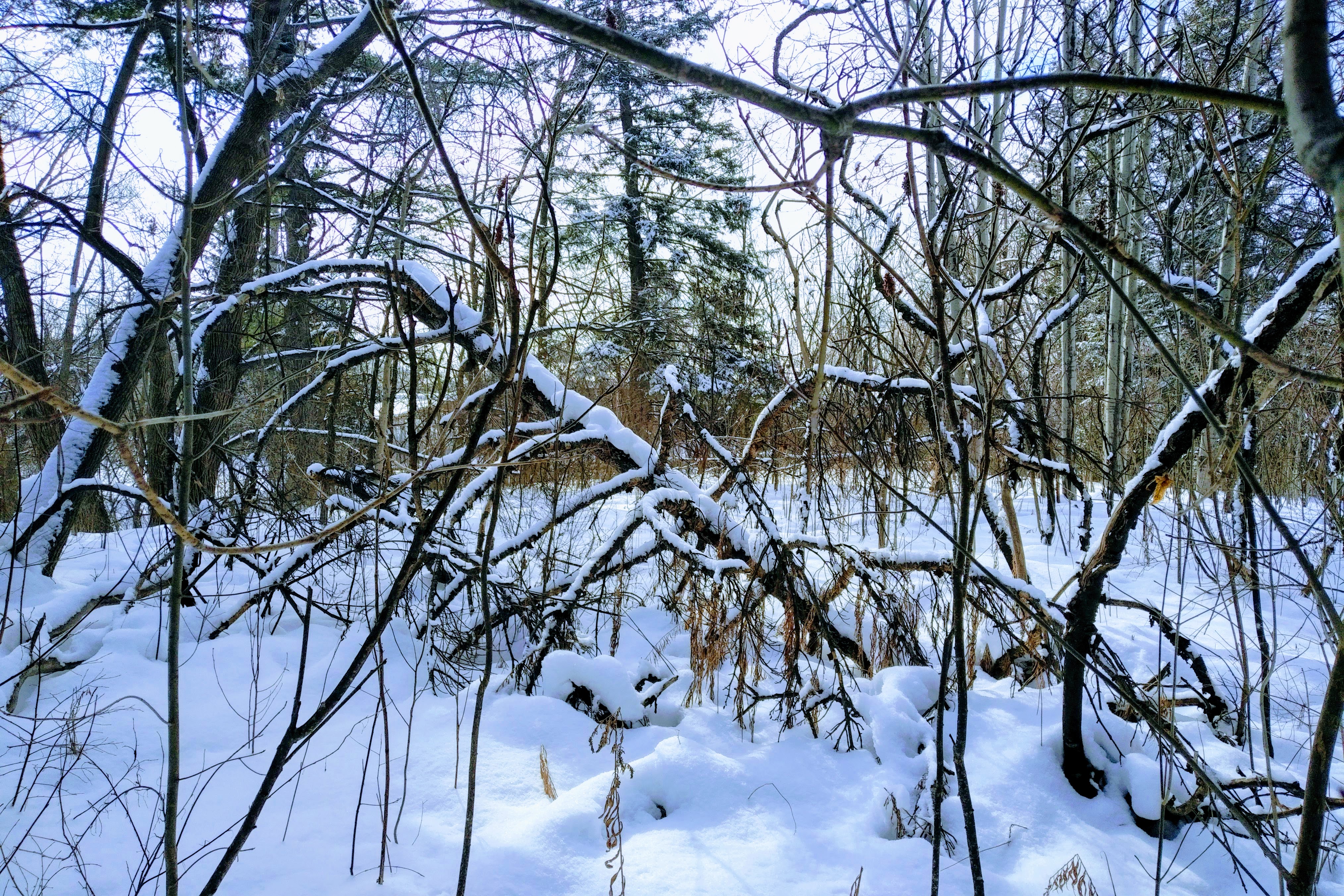 img_20210214_1200468