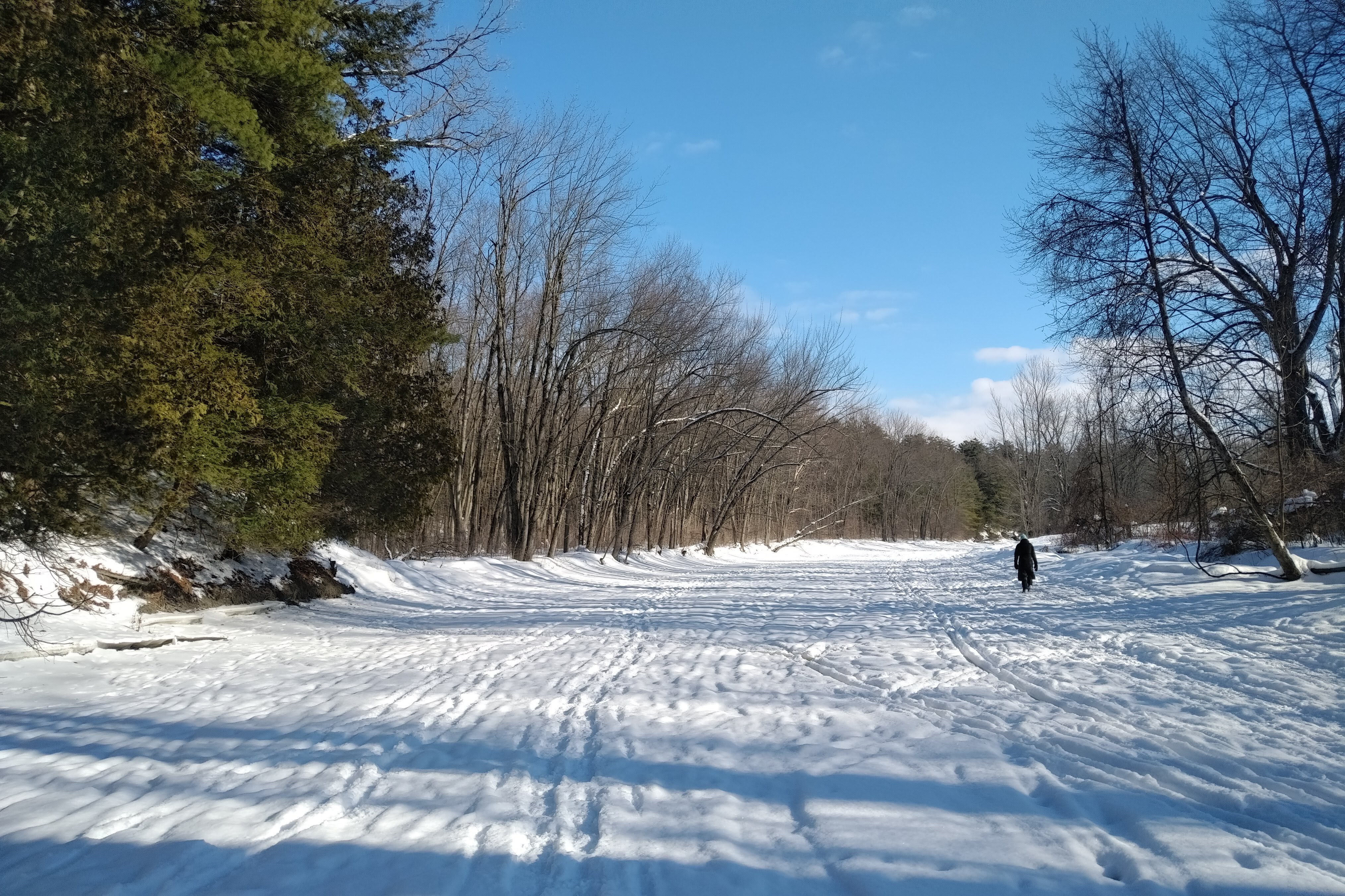 img_20210214_1431204