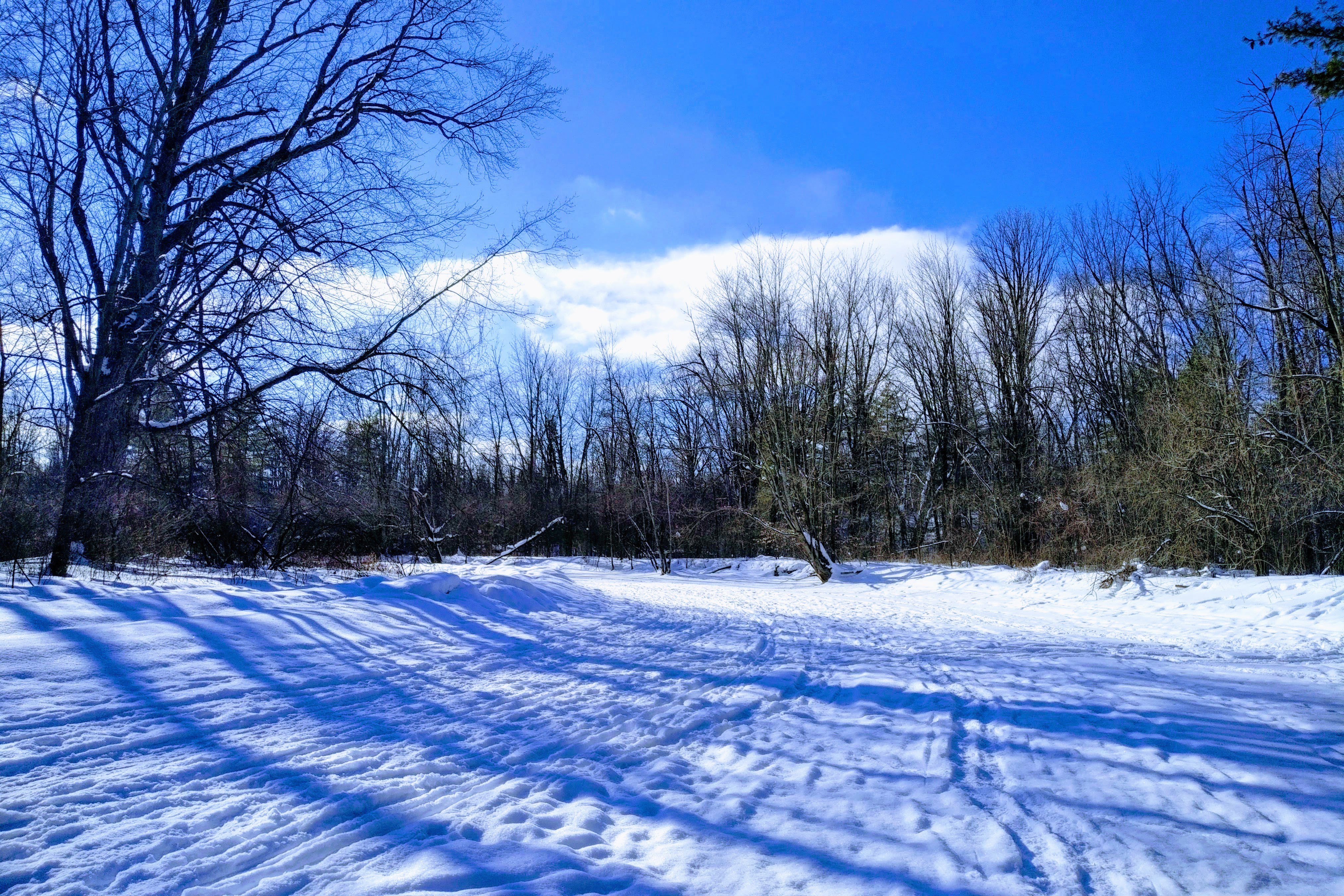 img_20210214_1431383-effects