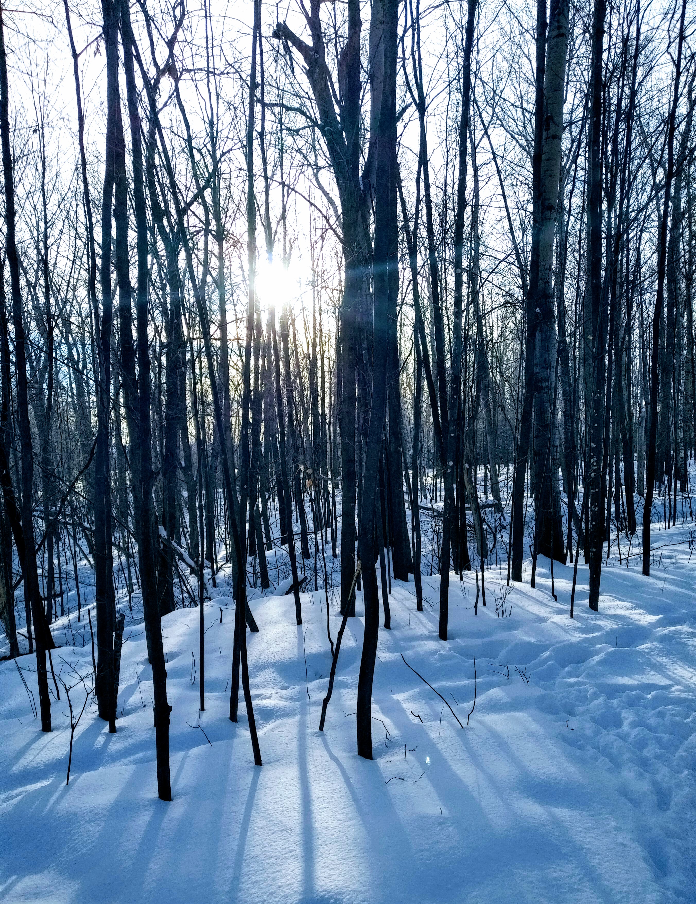 img_20210218_0832539