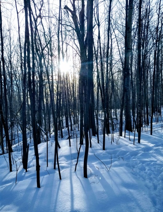 img_20210218_0832539