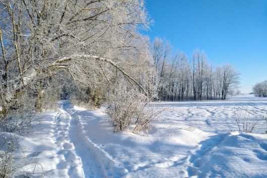 img_20210220_0753425