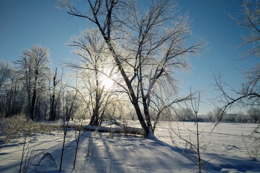 img_20210220_0805158