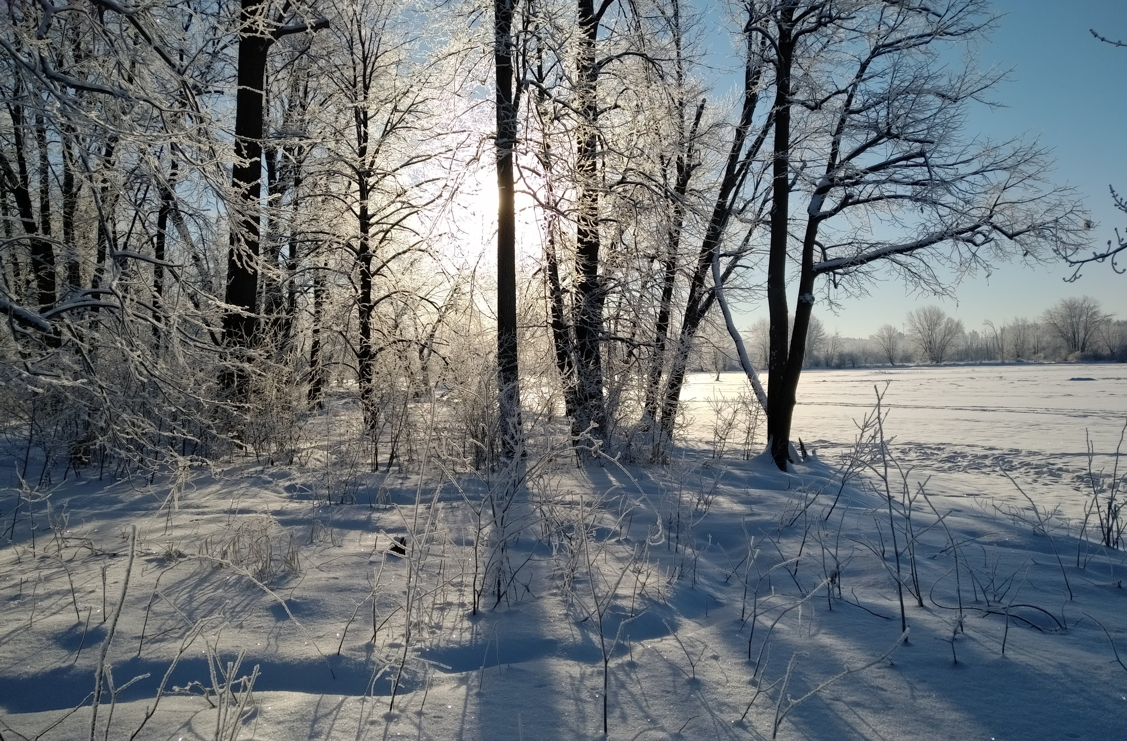 img_20210220_0807528-1