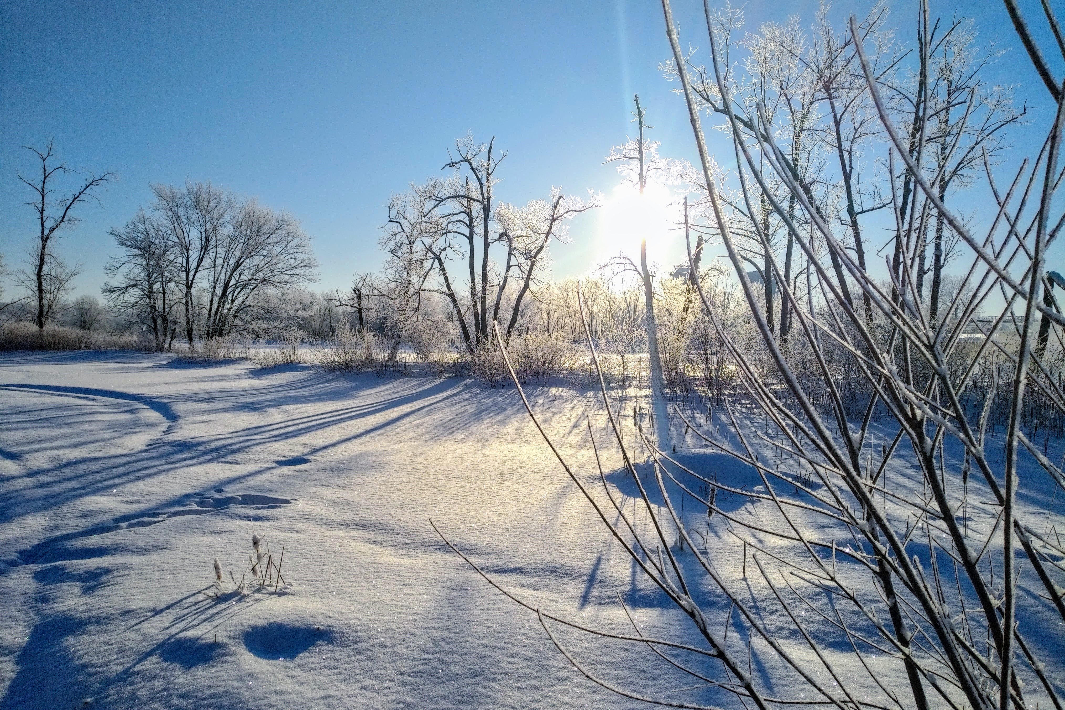 Petrie Island 2021-02-20