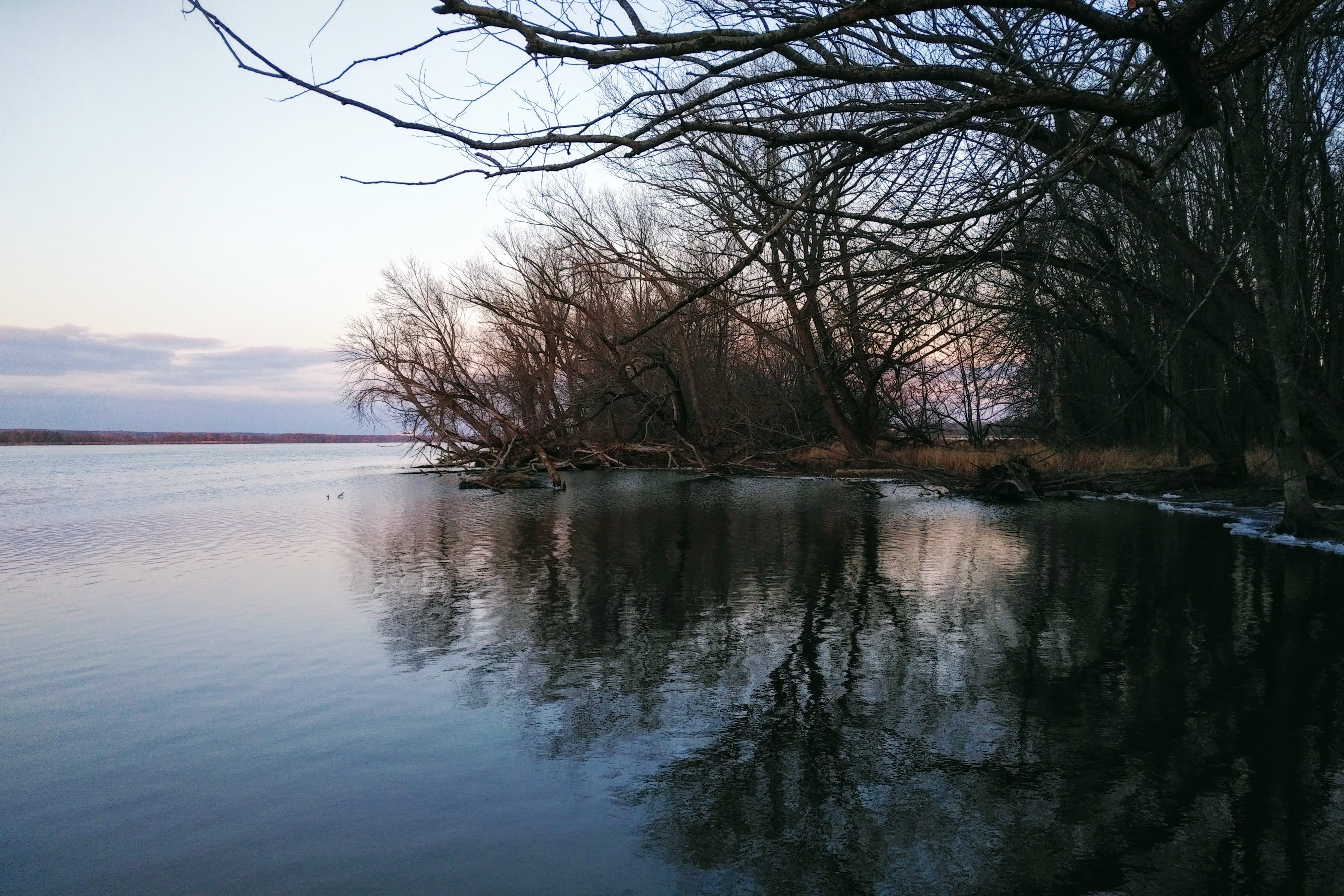 img_20201118_1623455-1