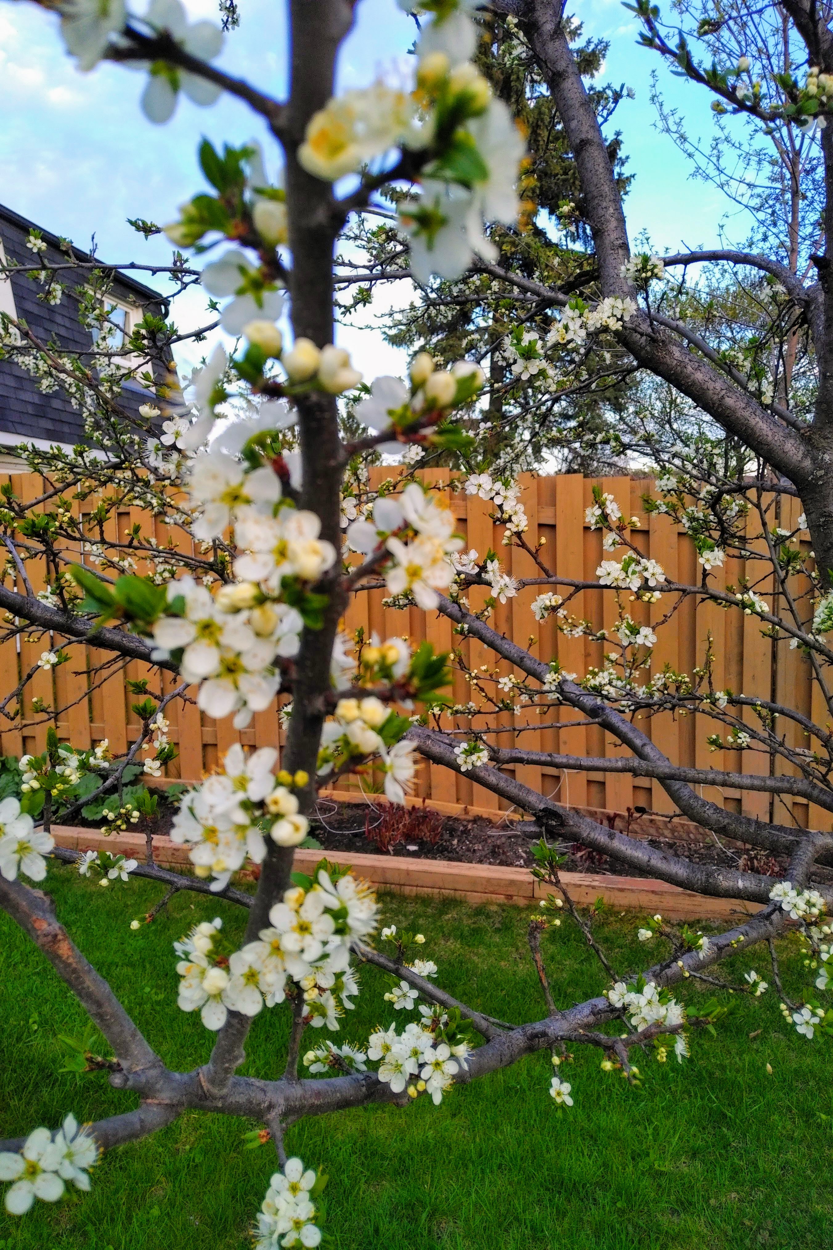 img_20200518_2001135-effects