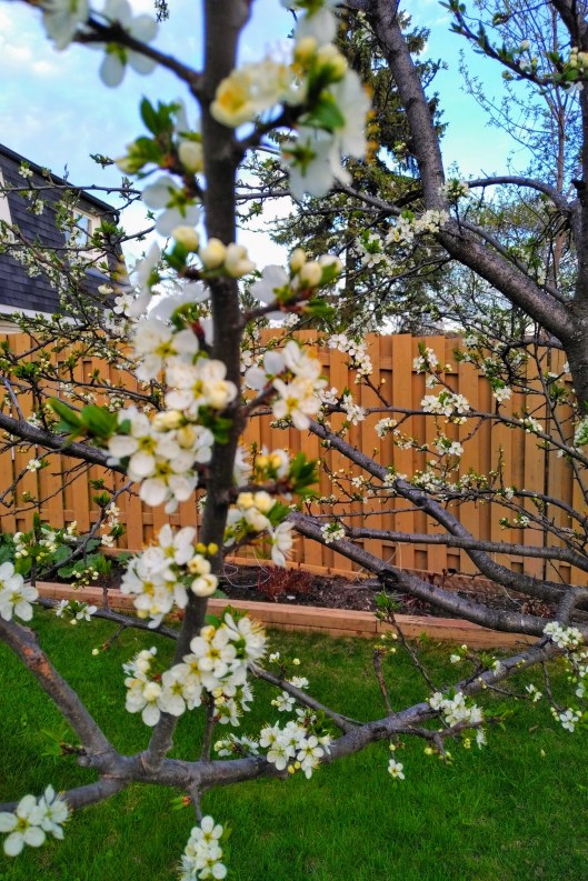 img_20200518_2001135-effects