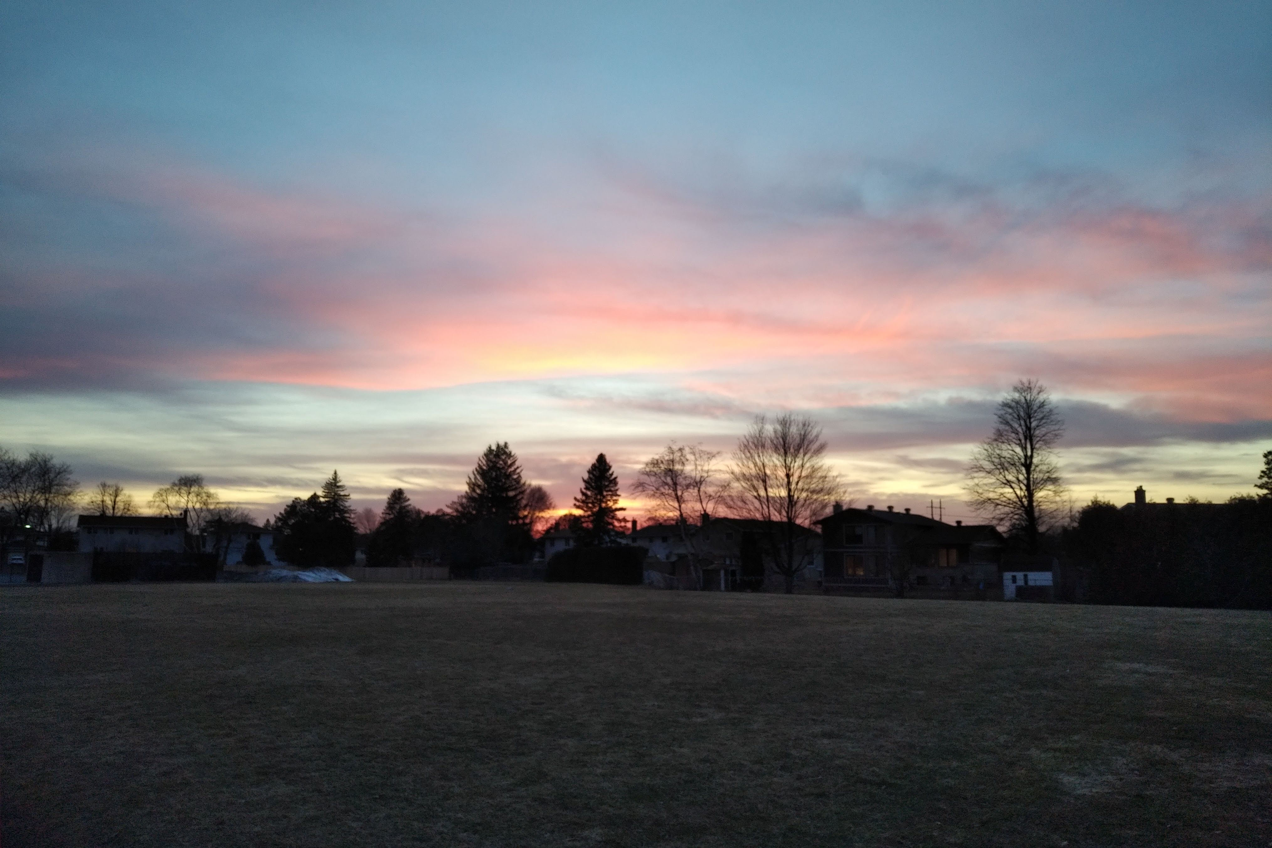 img_20210330_1934531