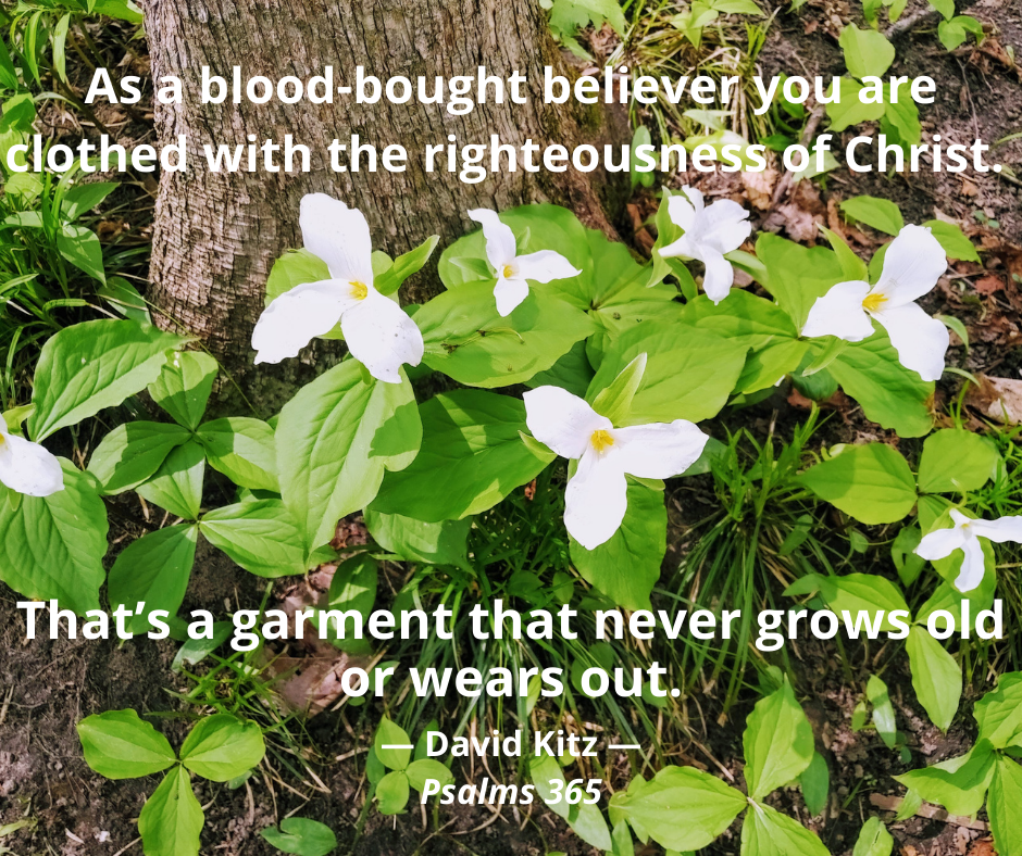 365 clothed with Christ 132b