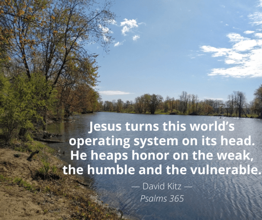 365 operating system 131