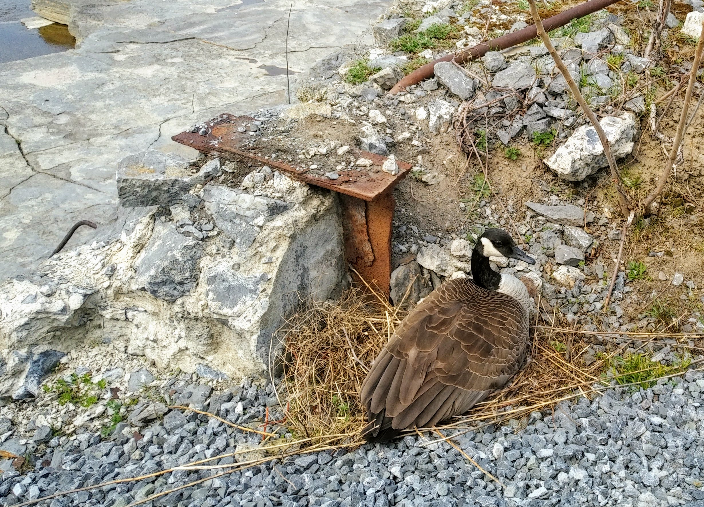 img_20210424_1432559