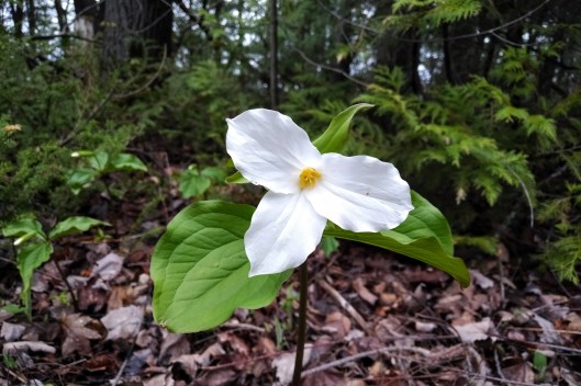 img_20210505_1427431