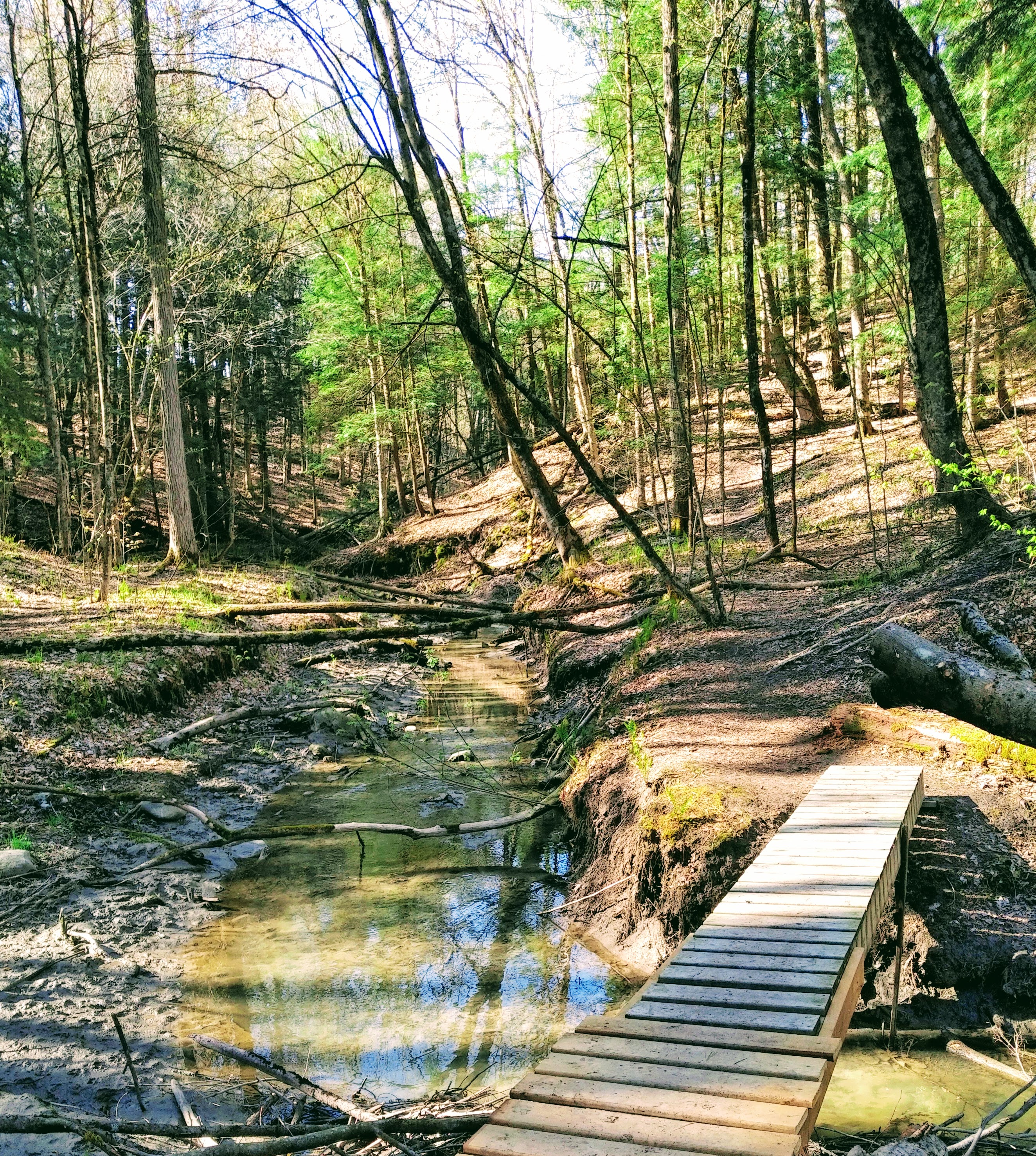 img_20210506_0909382