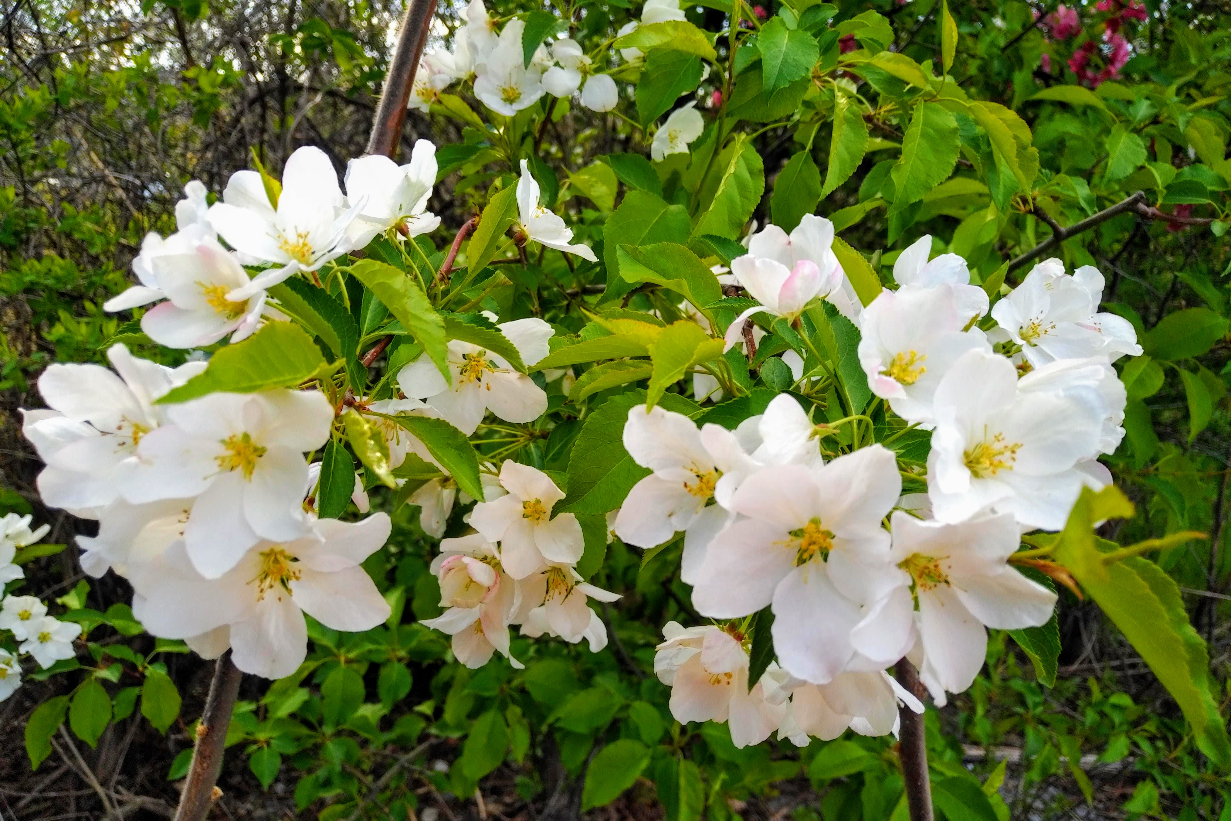 img_20210510_0832296-effects