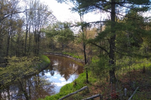 img_20210514_1512247