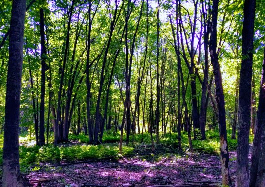 img_20210523_1622515