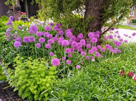 img_20210526_0815298