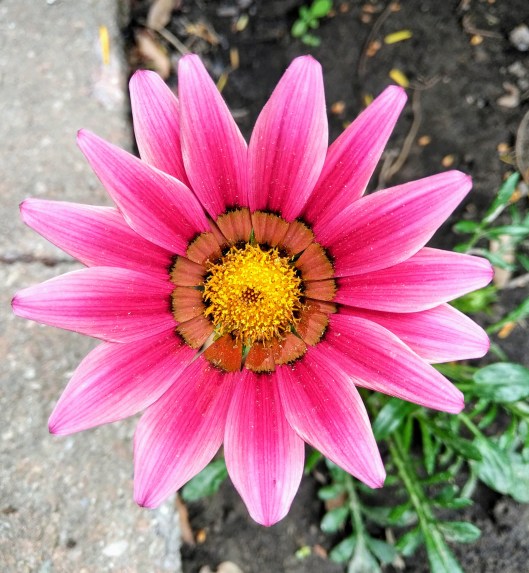 img_20210526_1414155