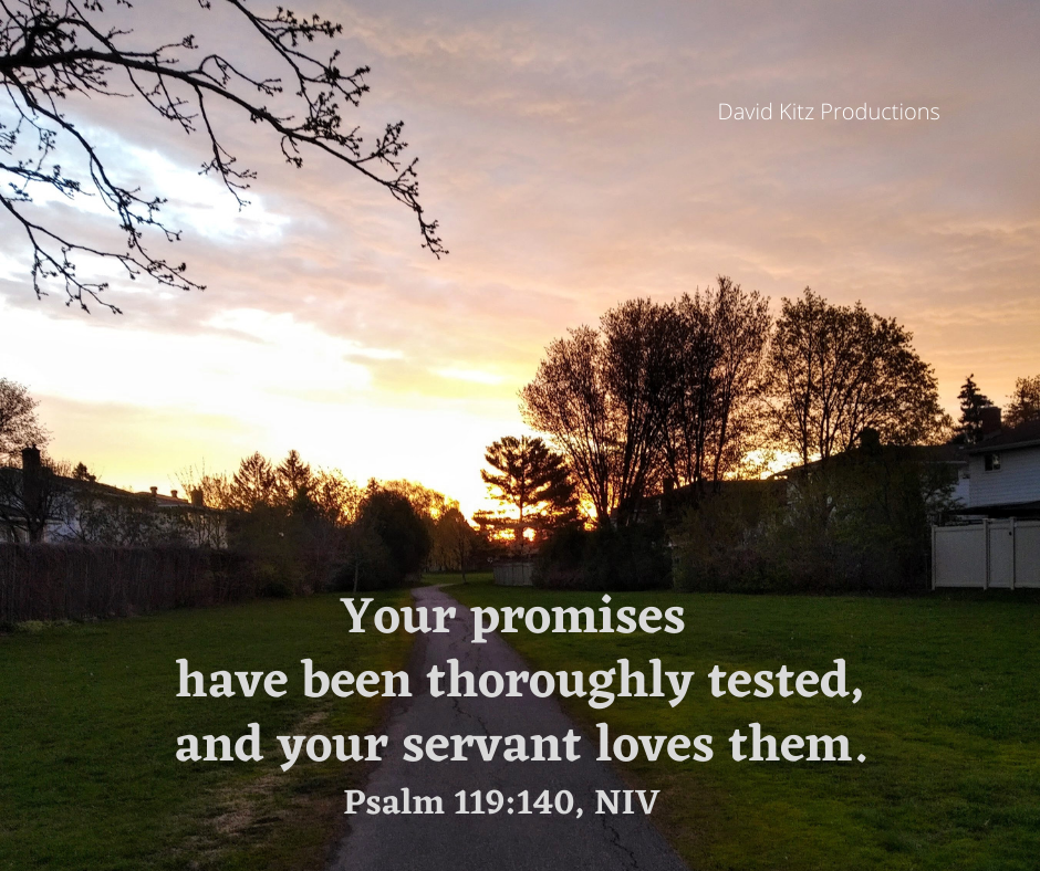 Psalm 119_140