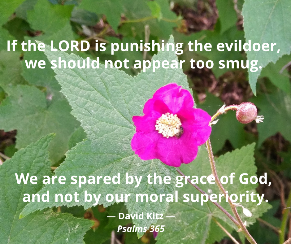 365 Schadenfreude 137b