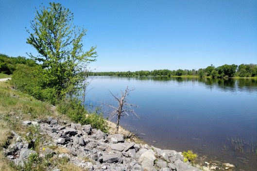 img_20210531_1100093