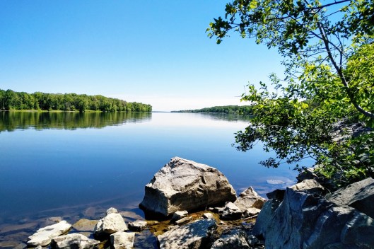 img_20210531_1130599