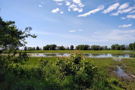 img_20210531_1612557