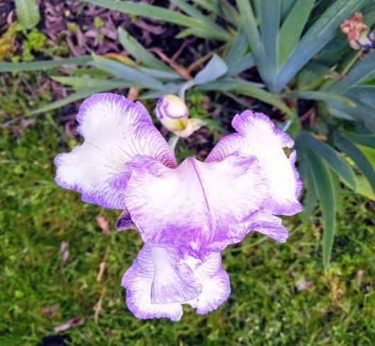 img_20210603_2035375