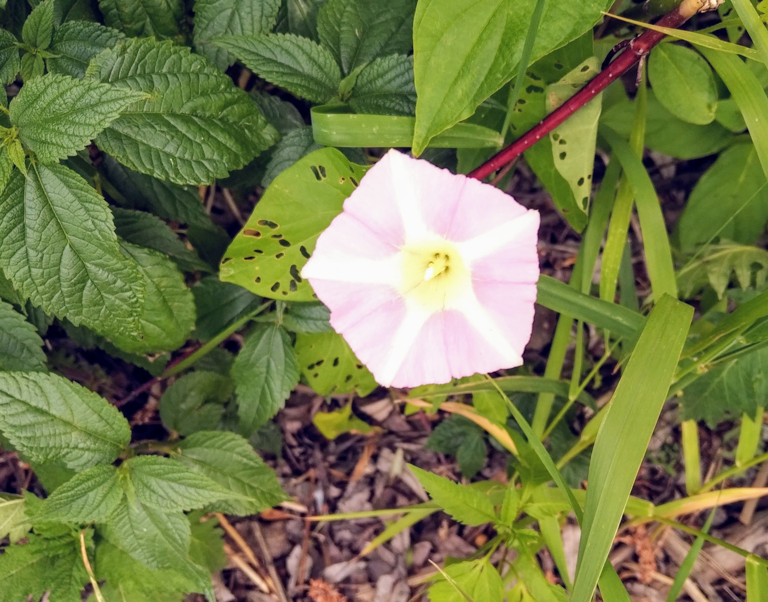 img_20210611_1623396