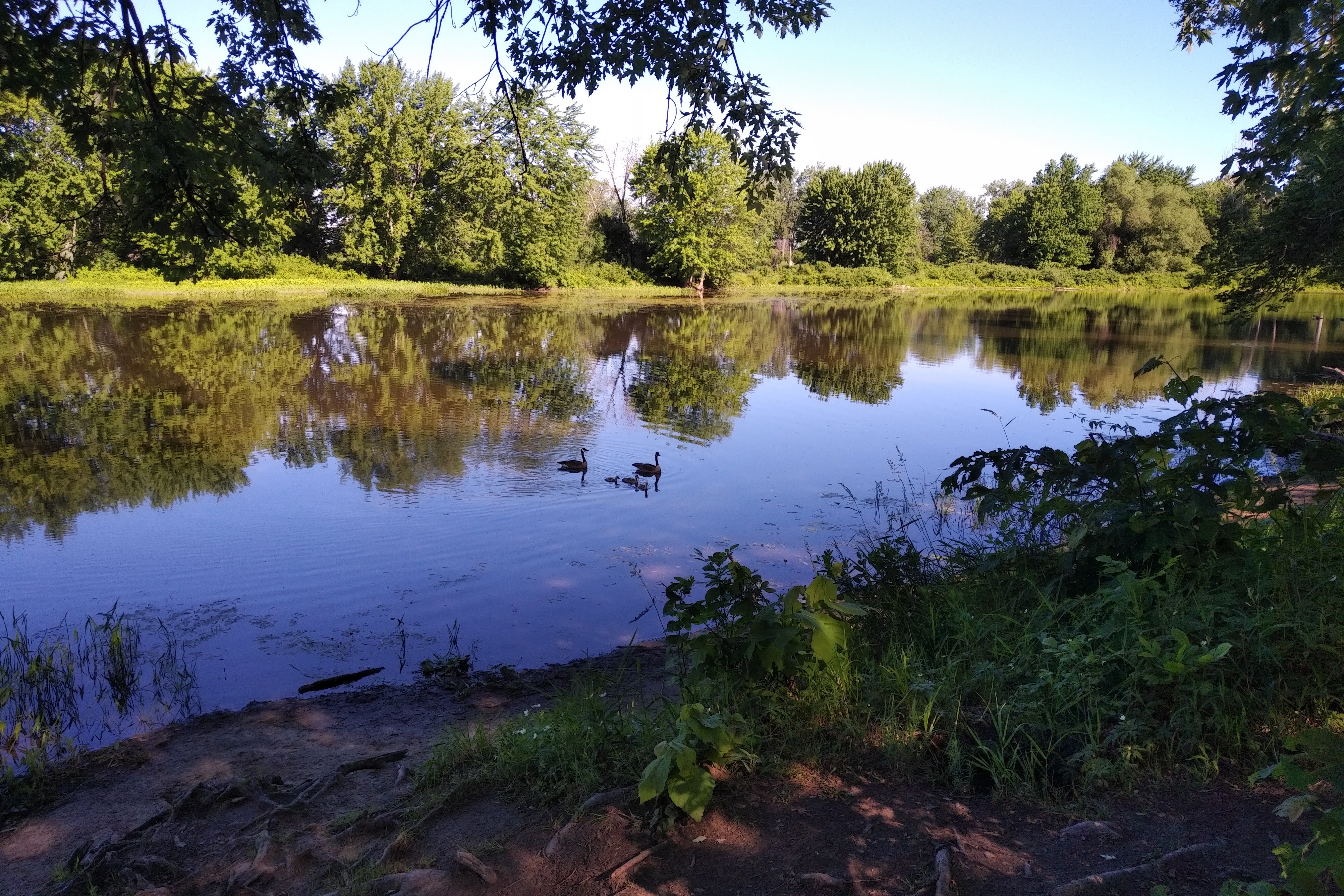 img_20210617_0850137