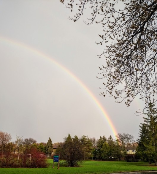 img_20210418_1904549-1