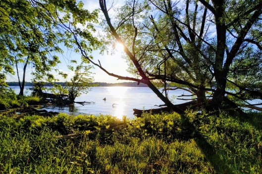 img_20210703_1933505