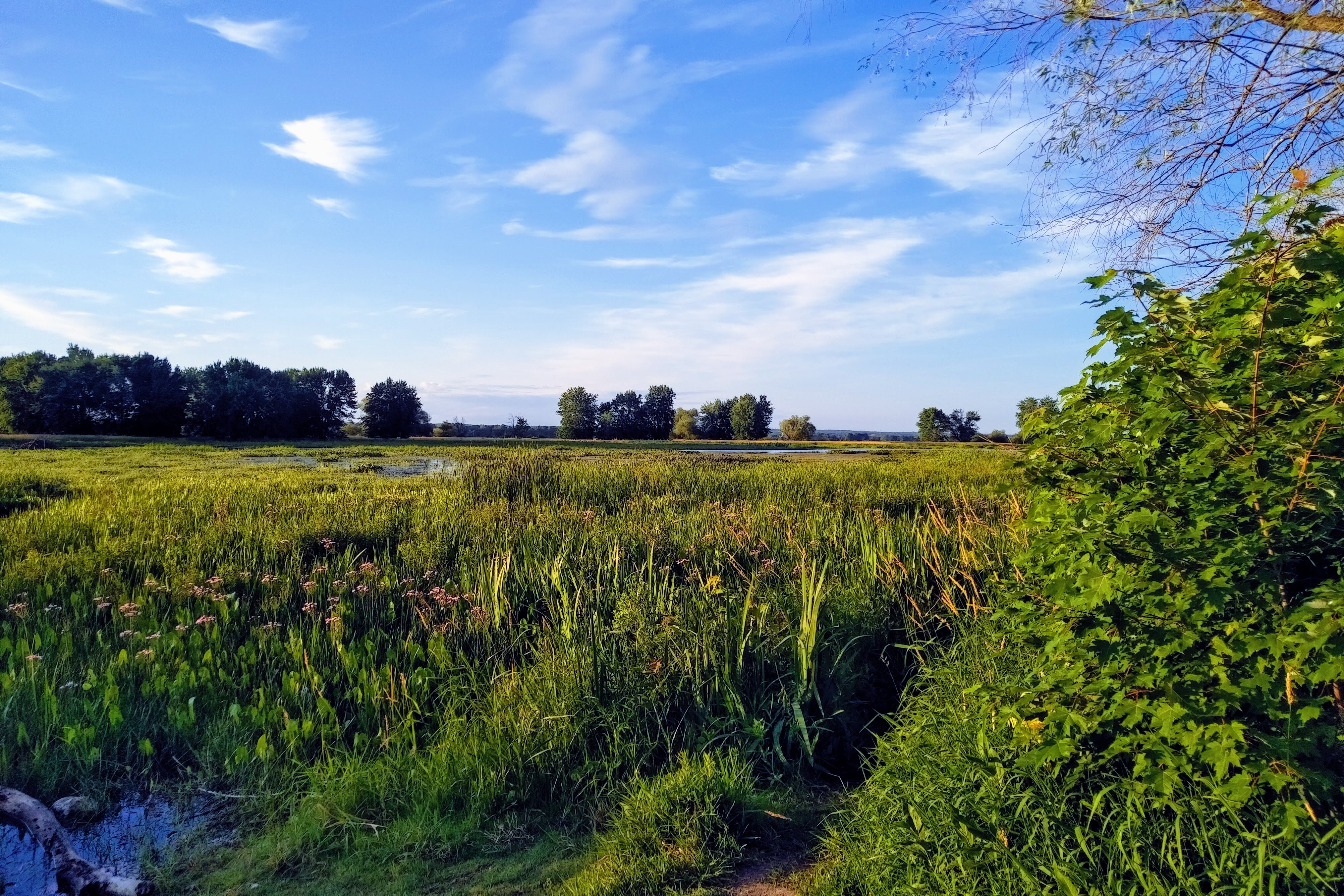 img_20210703_2005151