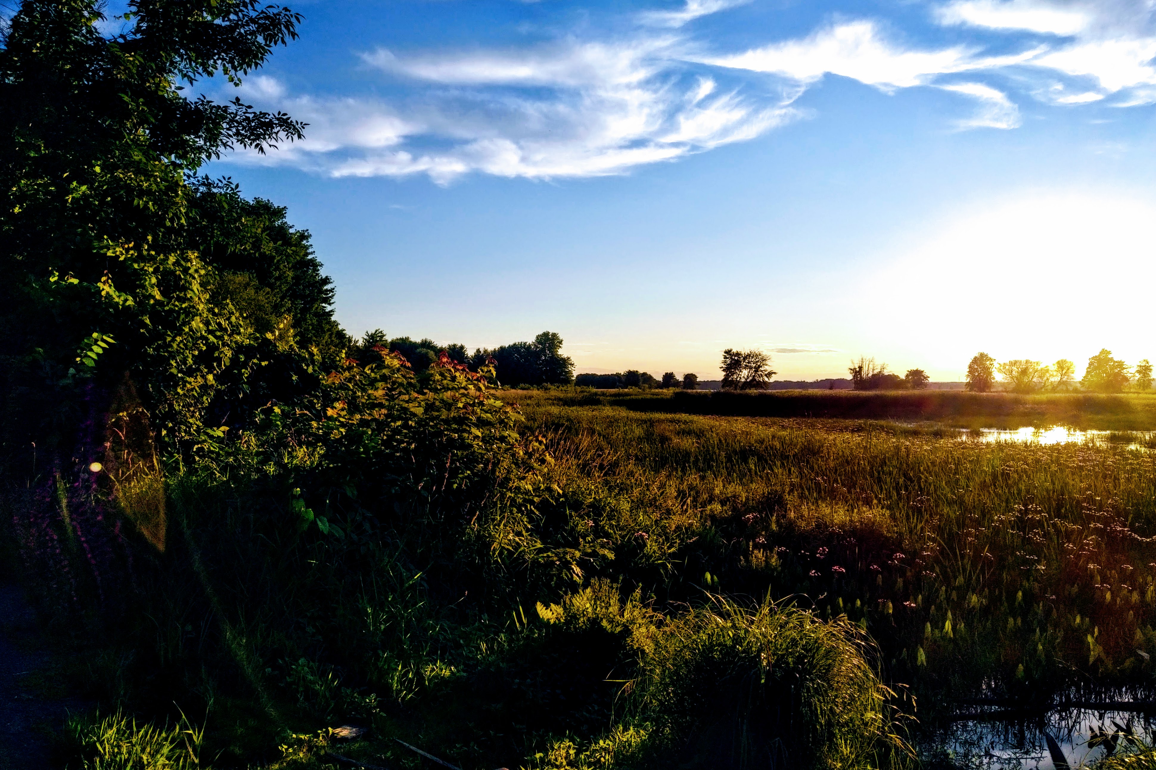 img_20210703_2014050