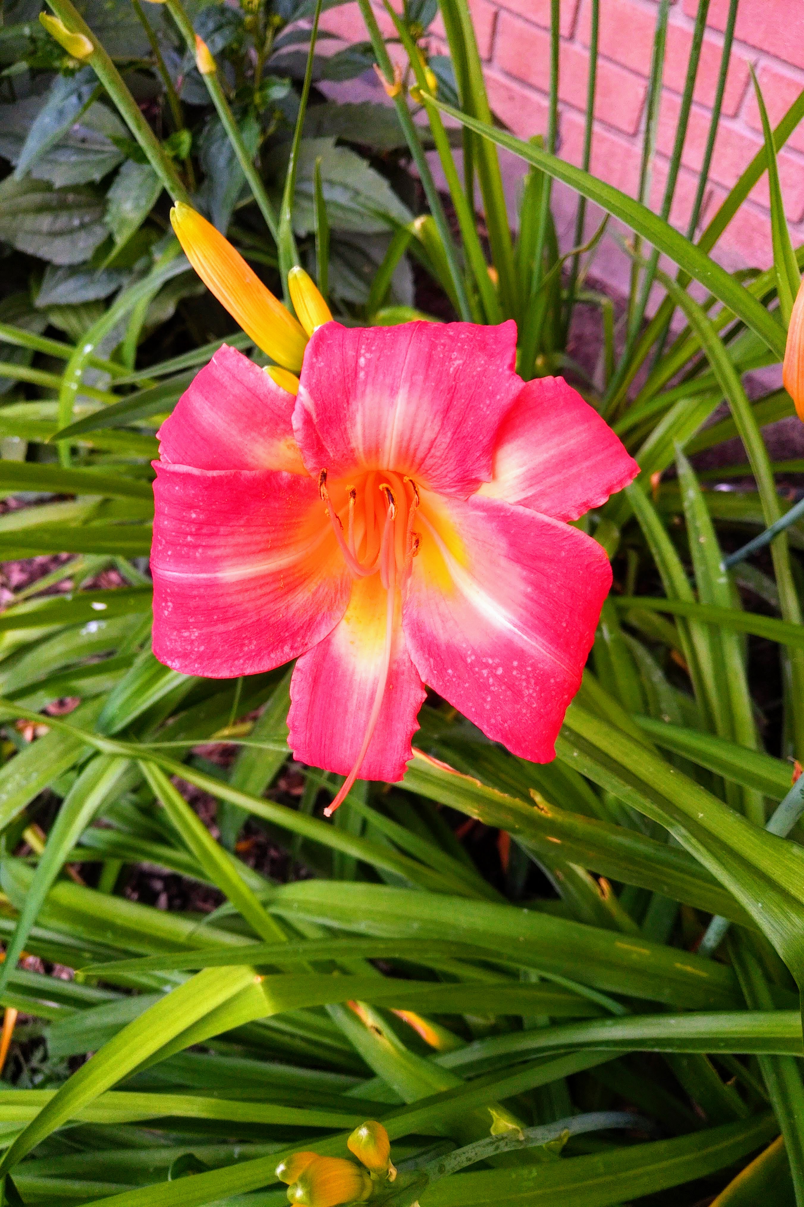 img_20210706_1956186-effects