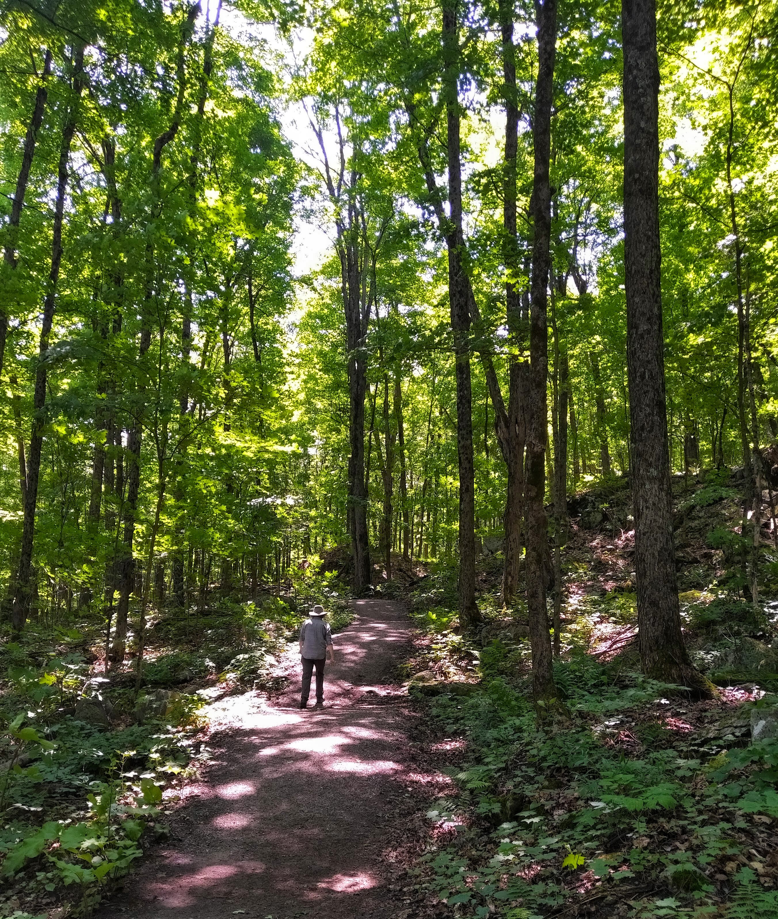 img_20210716_1215593-1