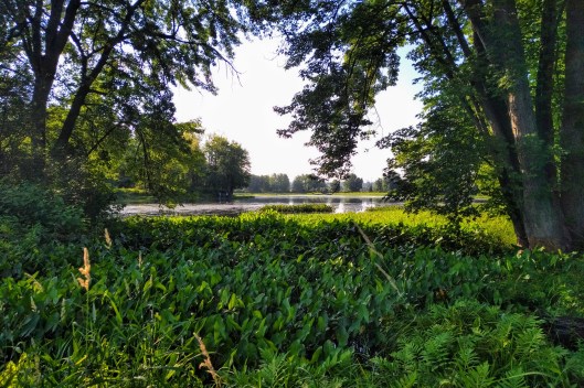 img_20210723_0759285