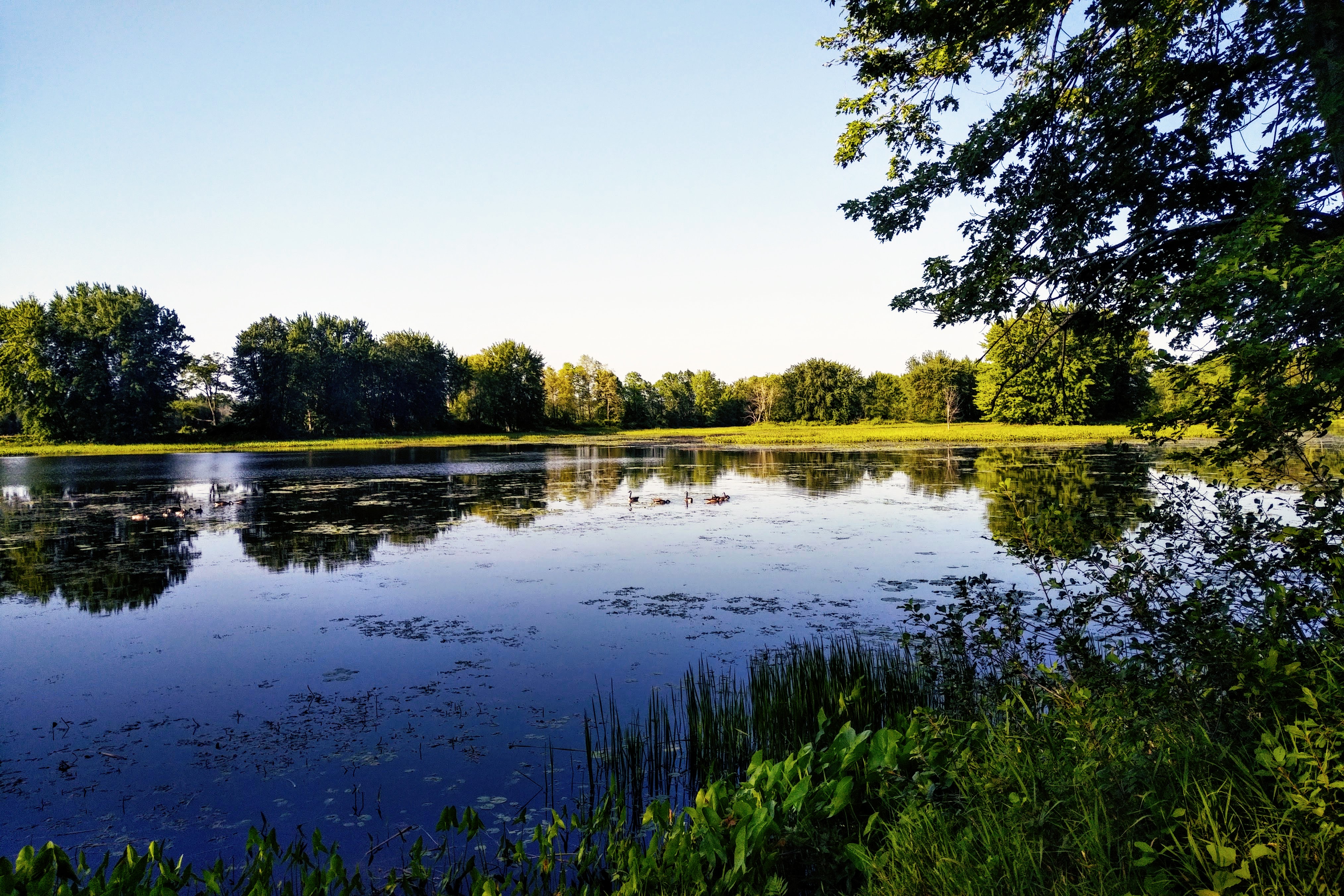 img_20210723_0808071