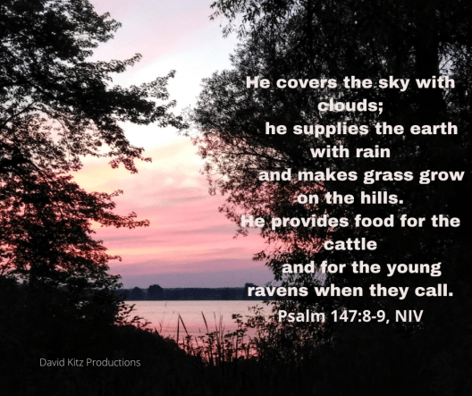 Psalm 147_8-9